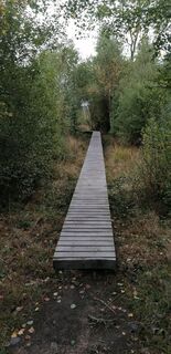 Foto de der heilige geist a lo largo del recorrido