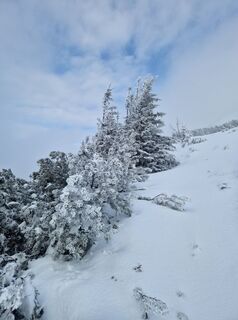 Fotografija s spletne strani MarionFeik na poti