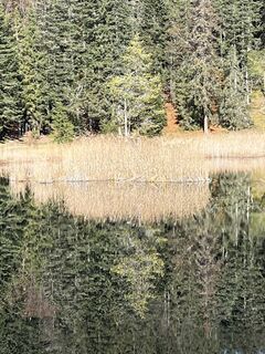 Photo de Denise Grossen le long du parcours