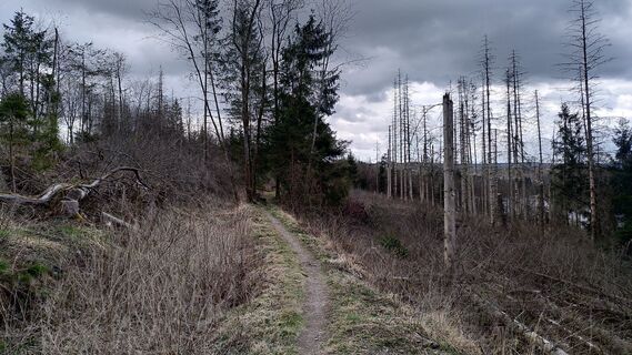 Fotografie de la ukawe de-a lungul turului