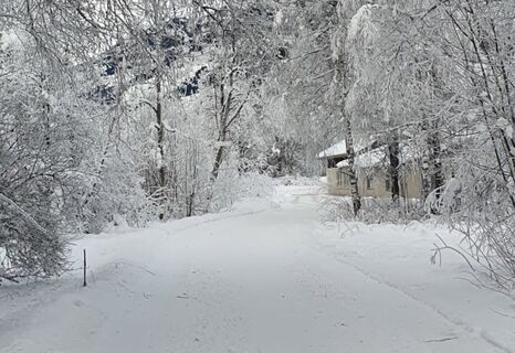 Aufnahme des Winterwanderwegs entlang dem Kunstpfad in Trun.