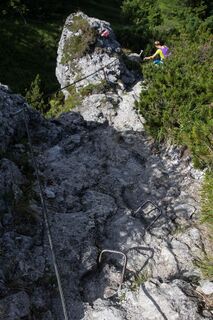 Niederkaiserkamm