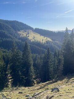 Foto van KlausM langs de tour