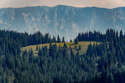 Photo de Leo Fahrngruber le long du parcours