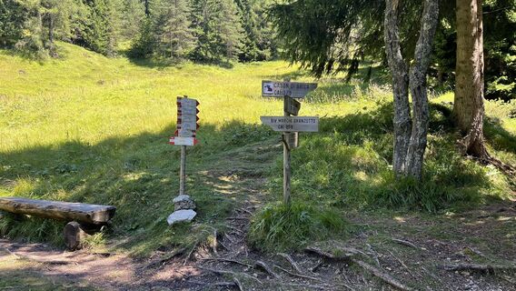 Photo de Pezzotta le long du parcours