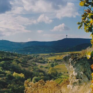 Naturschschutzgebiet Felsenberg/Berntal