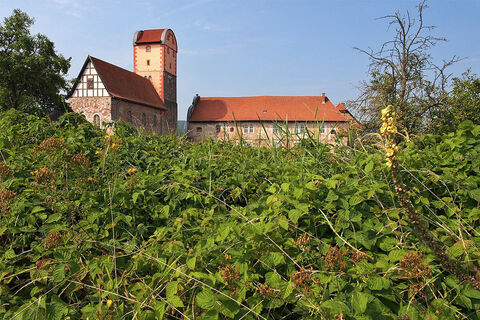 Romanische Basilika und Schloss Breitungen
