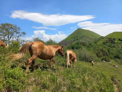 Monte Piglione
