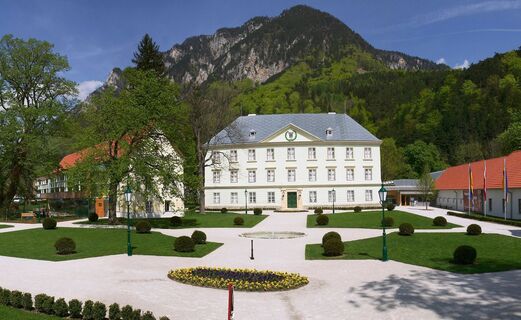 Schloss Reichenau