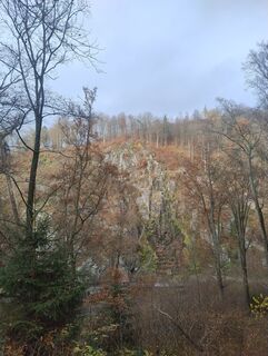 Foto von Betzenbergfex entlang der Tour
