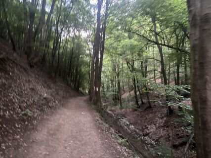 Fotografia z Reti Alicia na trase