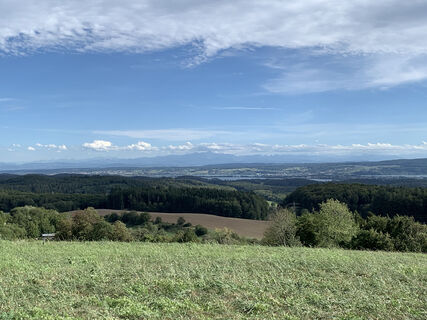 Alpensicht