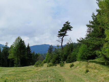 Fotografie de la Anne-Fleur Guitton de-a lungul turului