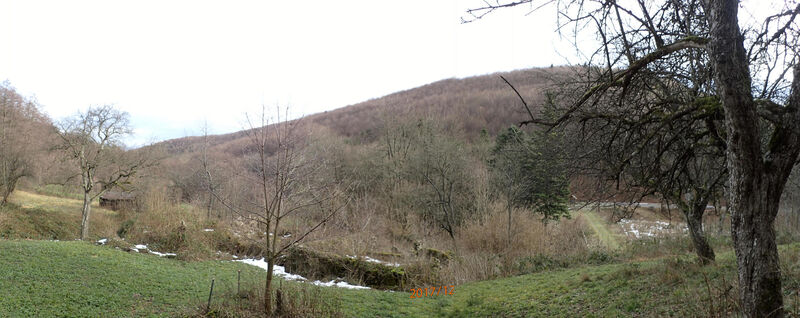 bei der Riesenbachklause