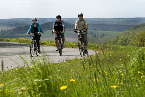 Auen Radweg | Paderborner Land