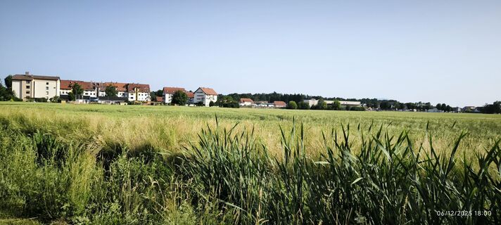 Fotografija s spletne strani Boris na poti