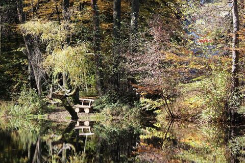 Teich am Kreuzbergl