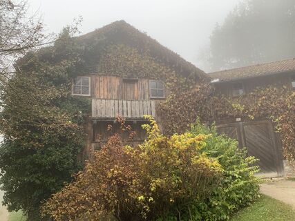 Photo de Leo Fahrngruber le long du parcours