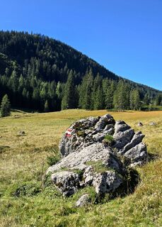 Foto von Veronika Strauss entlang der Tour