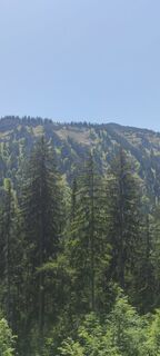 Photo de Thomas Klein le long du parcours