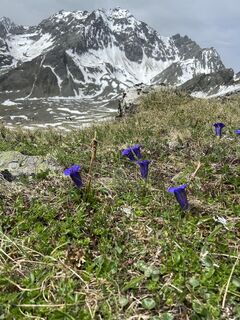 Zdjęcie z Robert Rittig wzdłuż trasy