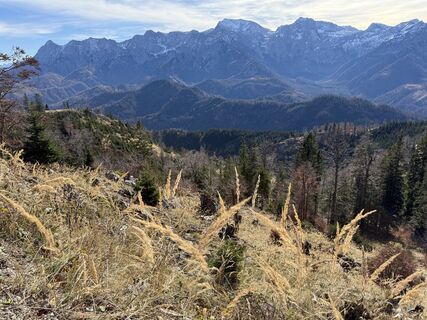 Photo from Natur_erleben_dg along the tour