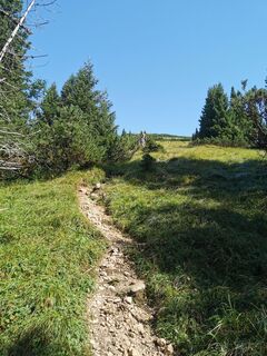 Fotografia z Mario Kunze na trase