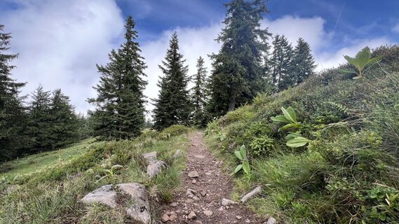 Fotografie z Volki F. na trase