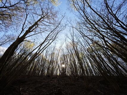 Photo de David Polcz le long du parcours