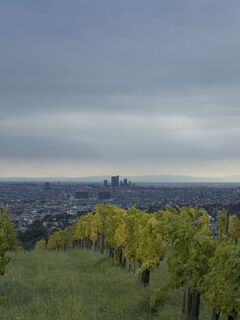 Foto da Iulia Rubtsova lungo il tour
