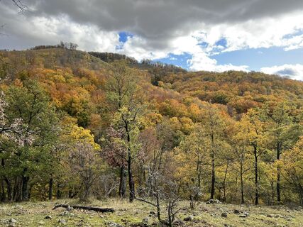 Fotografija s spletne strani Nóra Adamkovich na poti