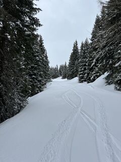 Fotografija s spletne strani Schabsi na poti