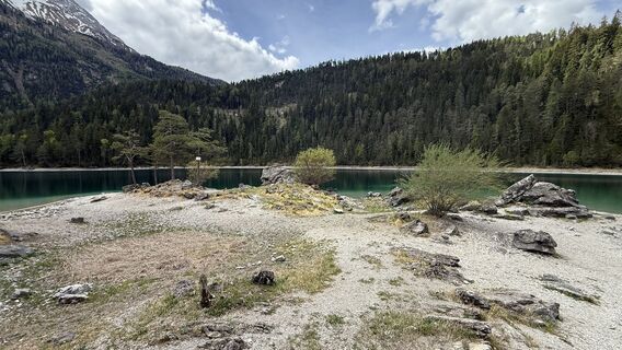 Foto de Torsten Scholz a lo largo del recorrido