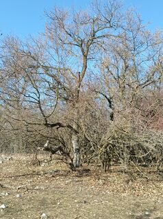 Fotografie z Julika Jármer na trase