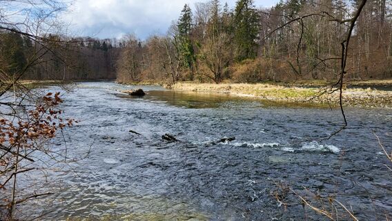 Foto de johannjosef a lo largo del recorrido