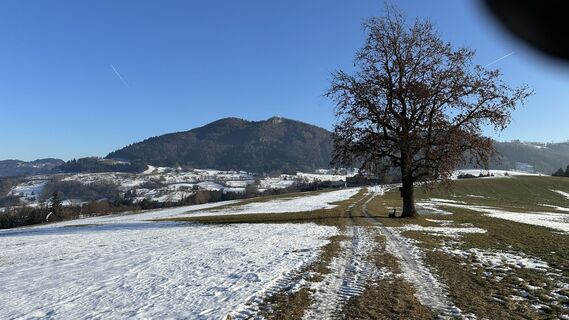 Foto von Wolfgang Pickl entlang der Tour