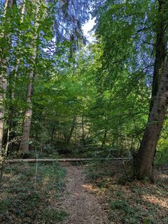 Photo de Kaiser 0_o le long du parcours