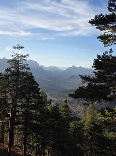 Fotografija s spletne strani Rainer Kiening na poti
