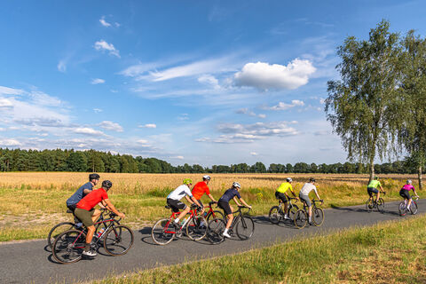Rennradgruppe unterwegs auf einer von Kornfeldern umsäumten Straße