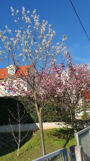Фото с сайта Erwin Teufner во время экскурсии