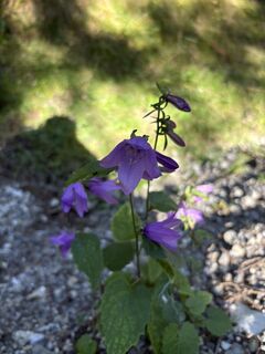 Photo from Jeanette Galeczka along the tour