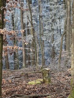 Fotografija s spletne strani Harald Mang na poti