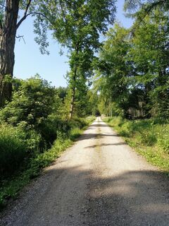 Hinweg-Wanderung zur Burgruine Grubenhagen