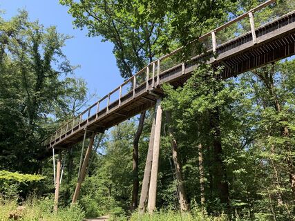 Foto von Koen Van Hooimissen entlang der Tour