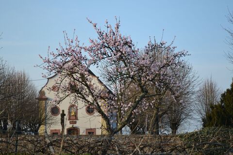Marienkapelle in Kirrweiler