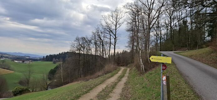 Fotografia z Petra Lehner na trase