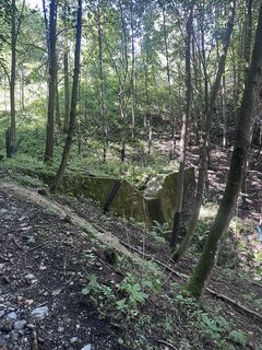 Foto von Juliette Glas entlang der Tour