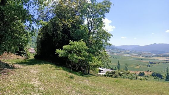 Weg in der Nähe von Eulate.