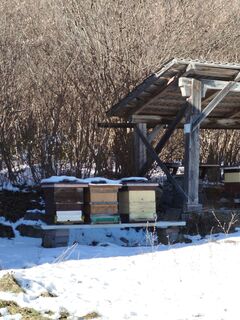 Fotografija s spletne strani Alois Temper na poti