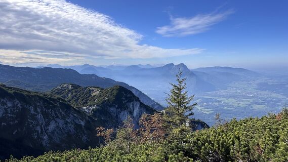 Photo de Mountain Cat ? ⛰️ le long du parcours